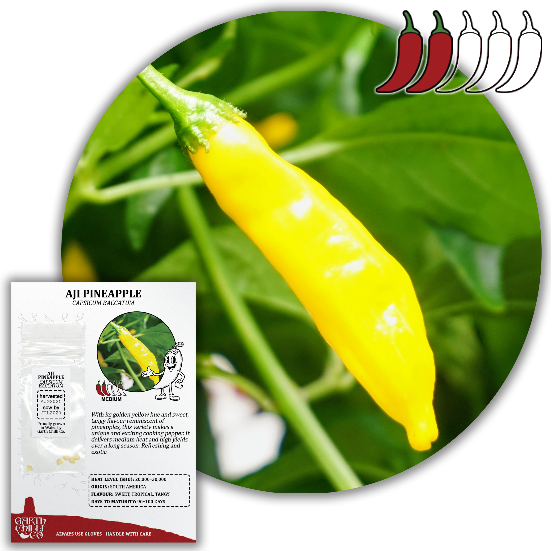 Aji Pineapple Chilli Seeds (10) Mild Fruity Pepper - Capsicum Baccatum