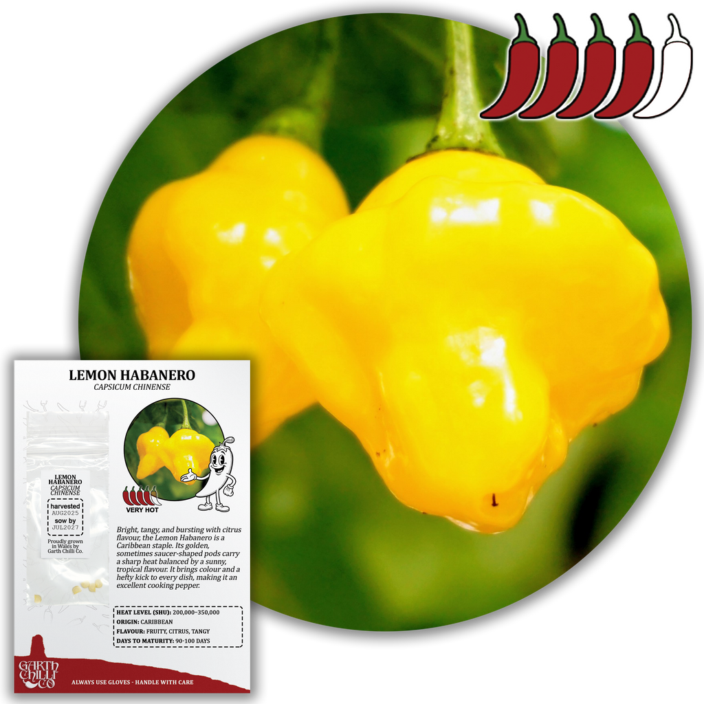 Mellow Yellow Chilli Seed Set (20) – Havana Gold, Aji Lemon Drop, Trinidad Perfume, Lemon Yellow Habanero