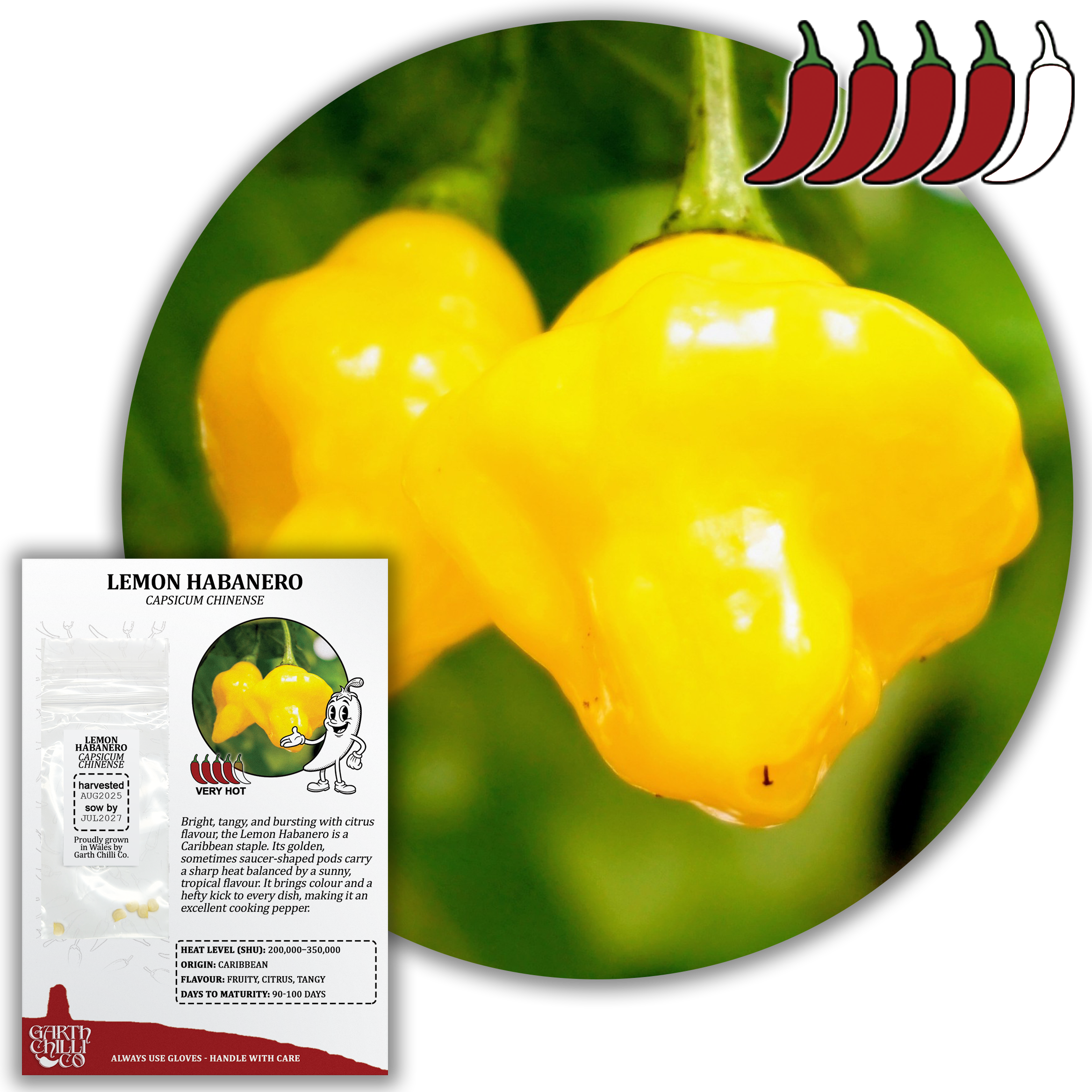 Mellow Yellow Chilli Seed Set (20) – Havana Gold, Aji Lemon Drop, Trinidad Perfume, Lemon Yellow Habanero