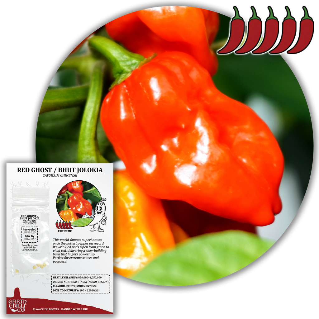 Superhot Chilli Seed Set (20) – Red Ghost / Bhut Jolokia, Trinidad Moruga Scorpion, Habanero Orange, Scotch Bonnet