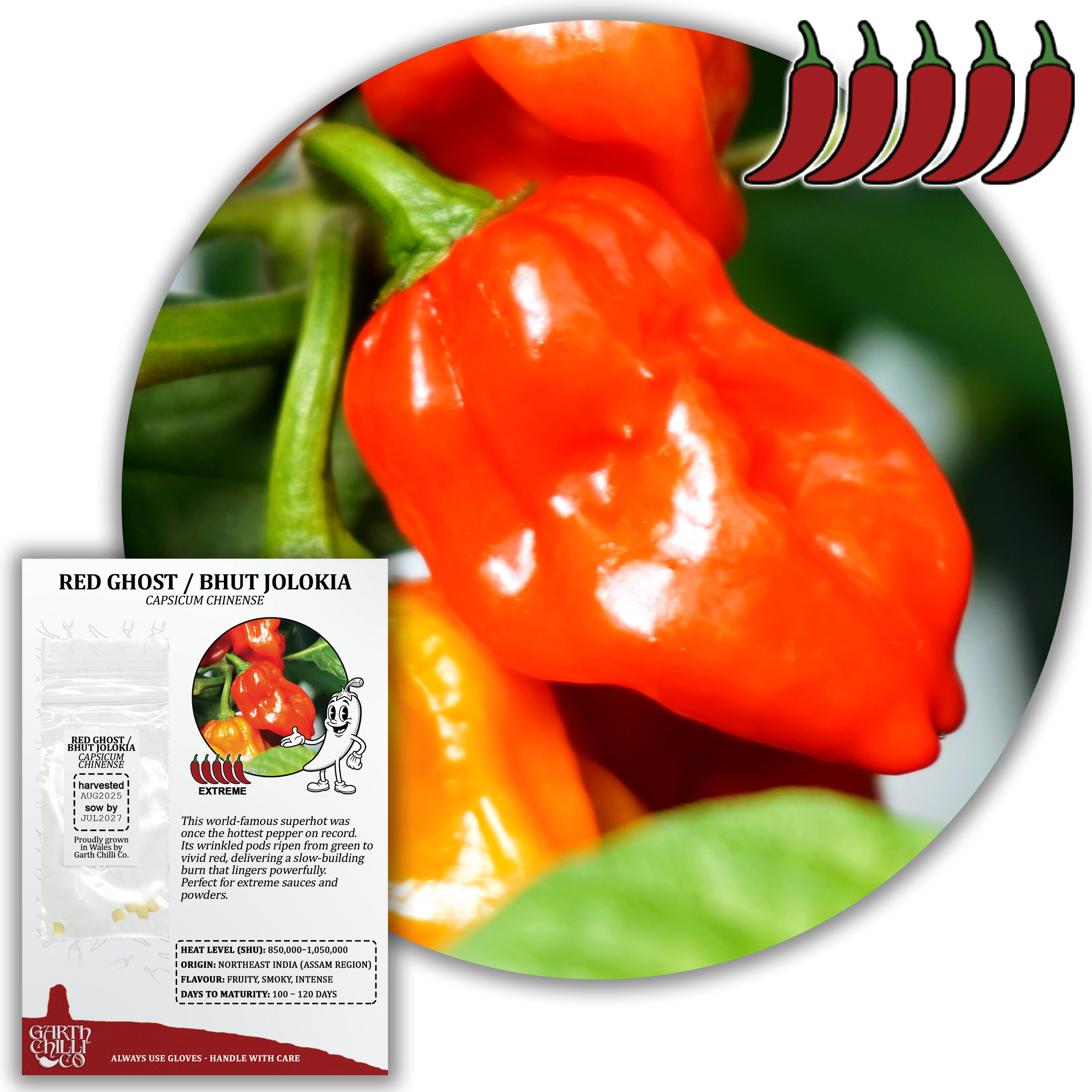 Superhot Chilli Seed Set (20) – Red Ghost / Bhut Jolokia, Trinidad Moruga Scorpion, Habanero Orange, Scotch Bonnet