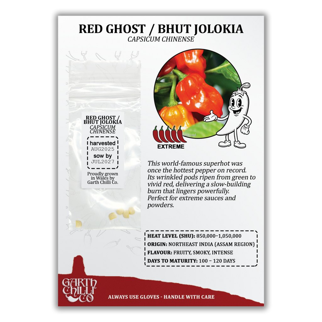 Superhot Chilli Seed Set (20) – Red Ghost / Bhut Jolokia, Trinidad Moruga Scorpion, Habanero Orange, Scotch Bonnet