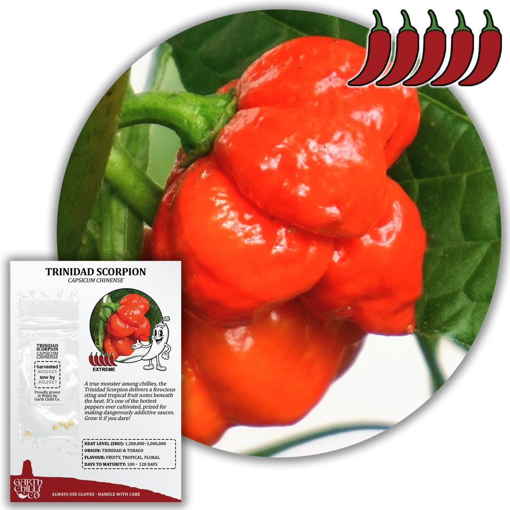 Superhot Chilli Seed Set (20) – Red Ghost / Bhut Jolokia, Trinidad Moruga Scorpion, Habanero Orange, Scotch Bonnet