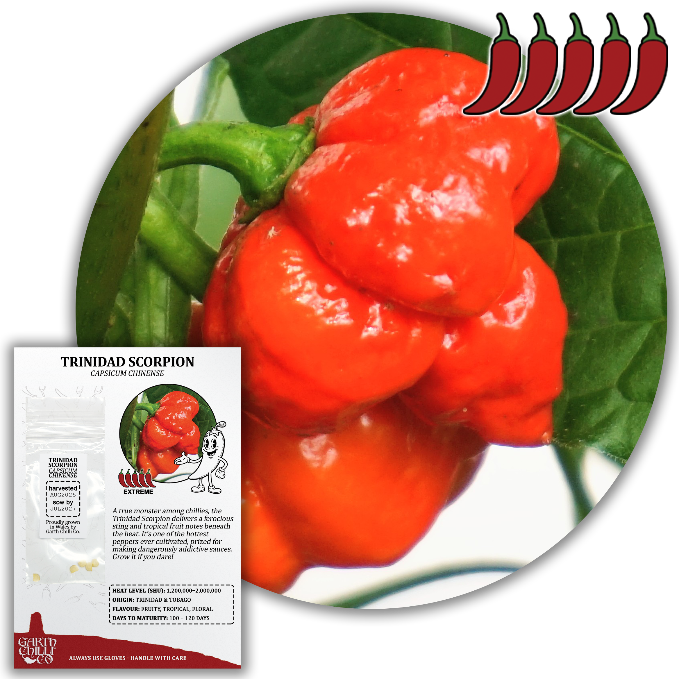 Superhot Chilli Seed Set (20) – Red Ghost / Bhut Jolokia, Trinidad Moruga Scorpion, Habanero Orange, Scotch Bonnet