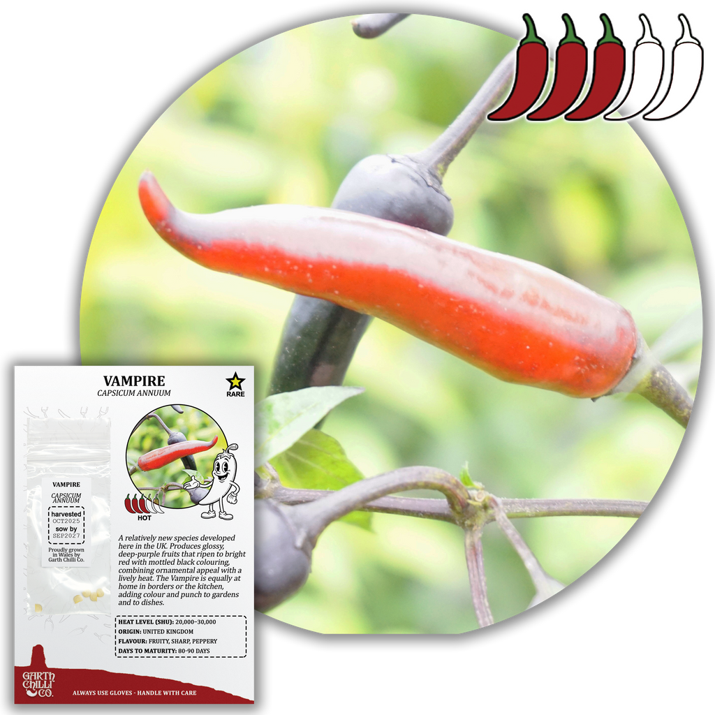 Rare Chilli Seed Set (20) – Pockmark Peach, Chocolate Ghost, Machu Picchu, Vampire
