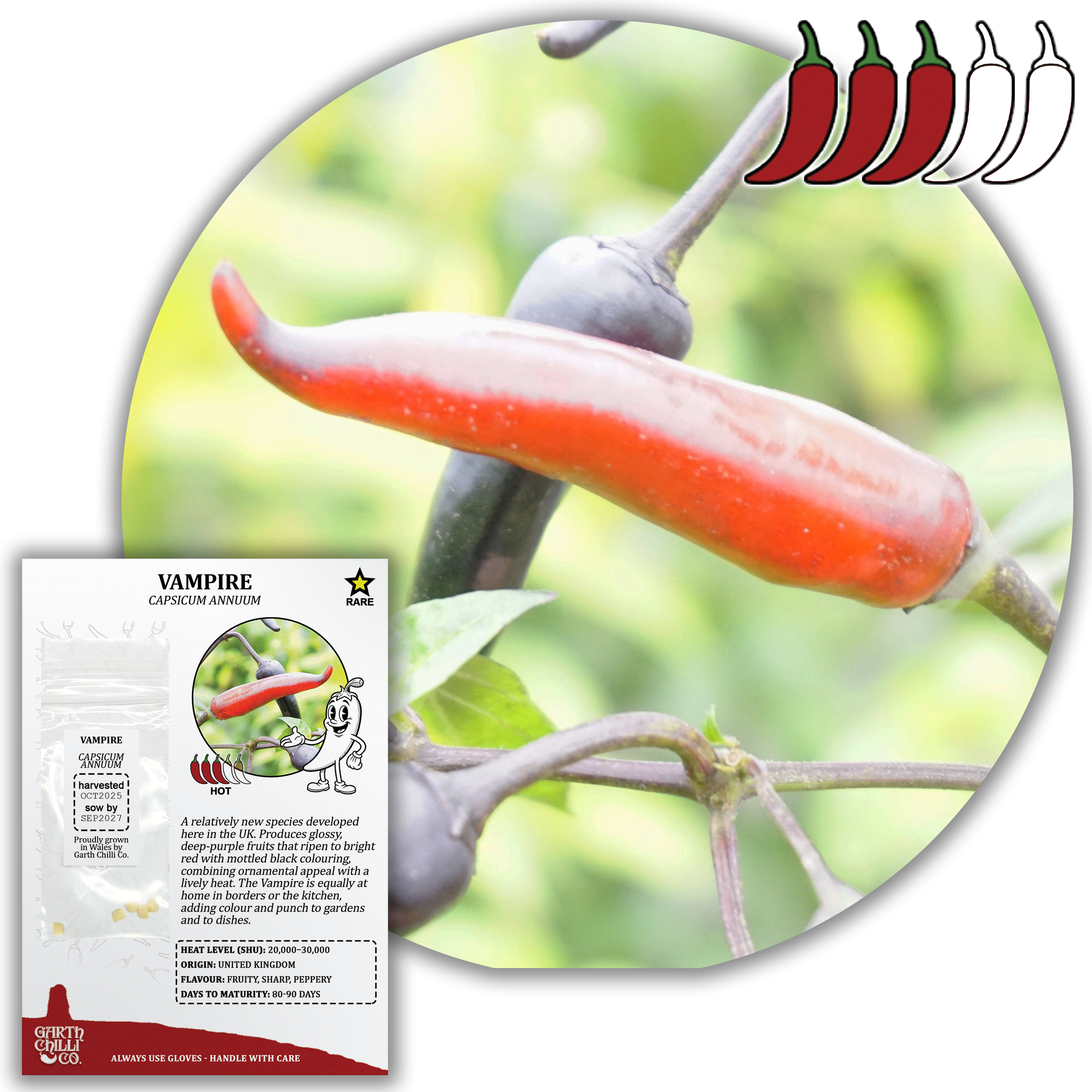 Rare Chilli Seed Set (20) – Pockmark Peach, Chocolate Ghost, Machu Picchu, Vampire