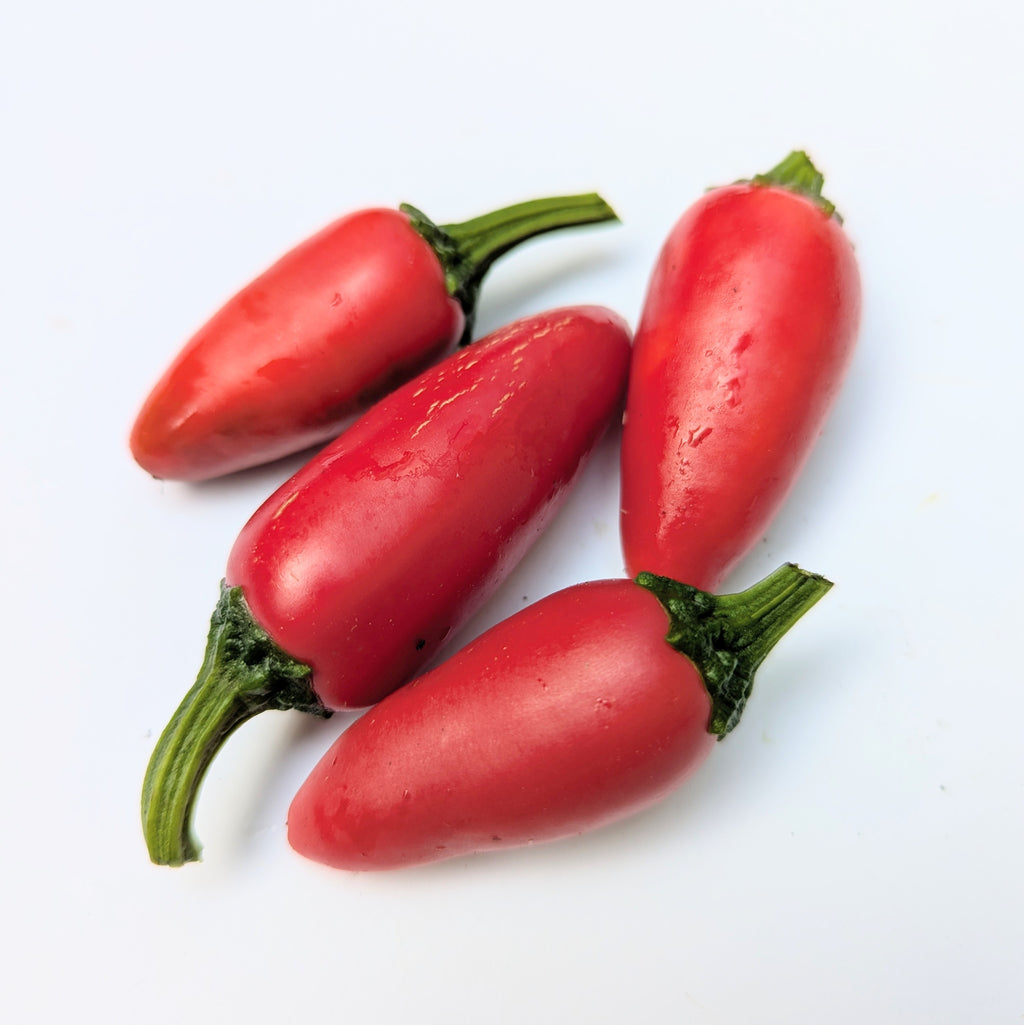 Mild to Wild Chilli Seed Set (20) – Padron, Jalapeño, Fresno, Orange Habanero