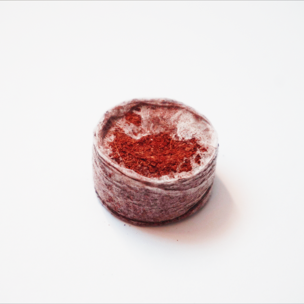 Coir Jiffy Chilli Seed Starting Pellets - Peat Free 30mm, Expanding to 35mm