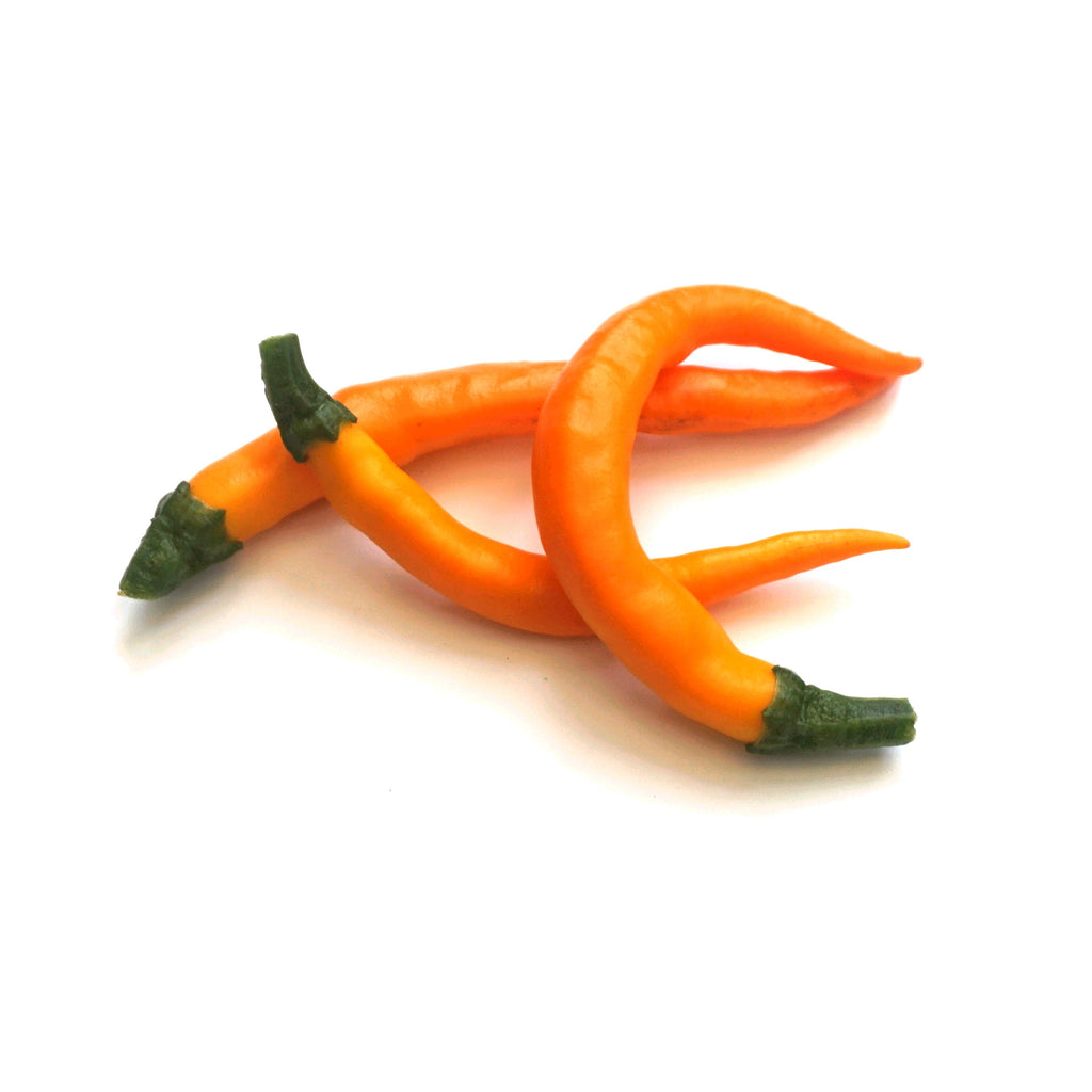 Kilian Chilli Seeds (10) Medium Compact Pepper - Capsicum Annuum