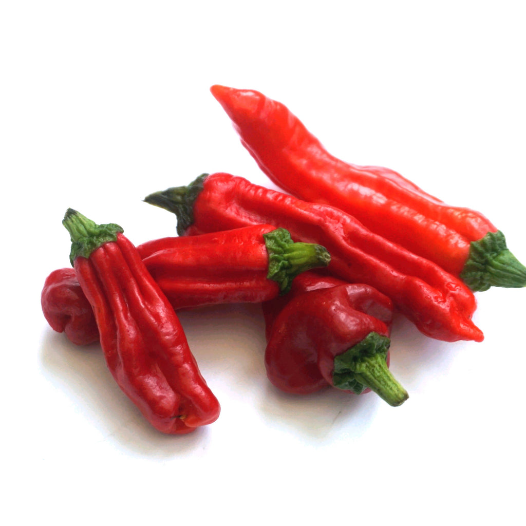 Pepperoncini Chilli Seeds (10) Mild Snack Pepper - Capsicum Annuum
