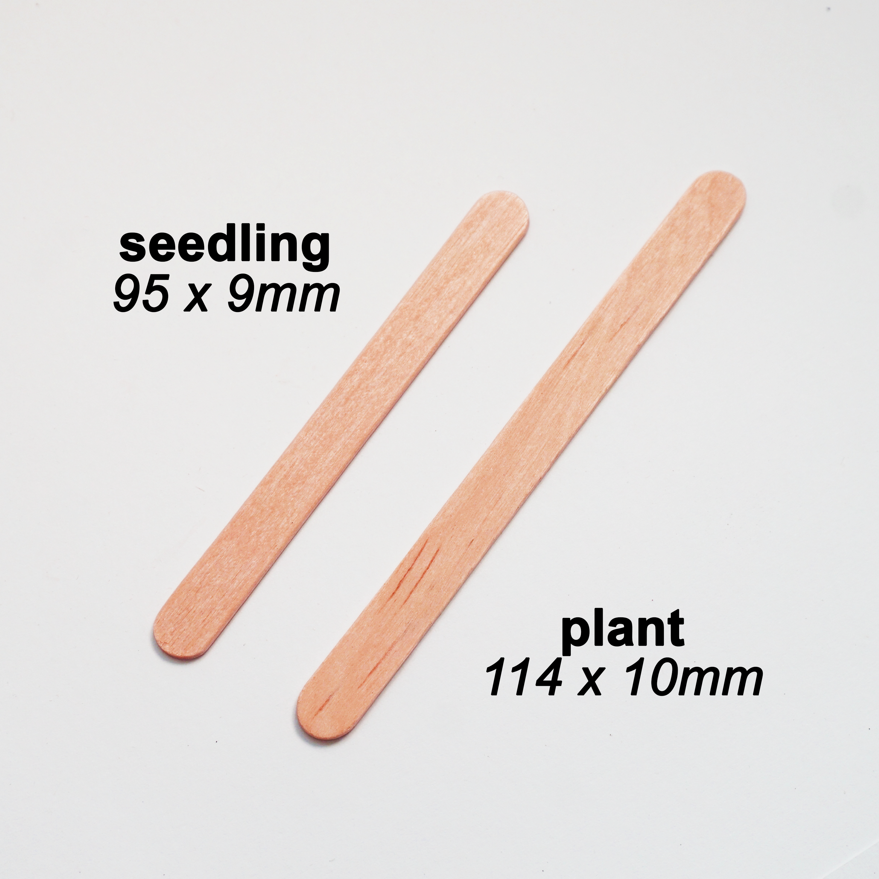 Seedling Plant Labels - Includes Pencil, Eco Friendly, Biodegradable & Compostable