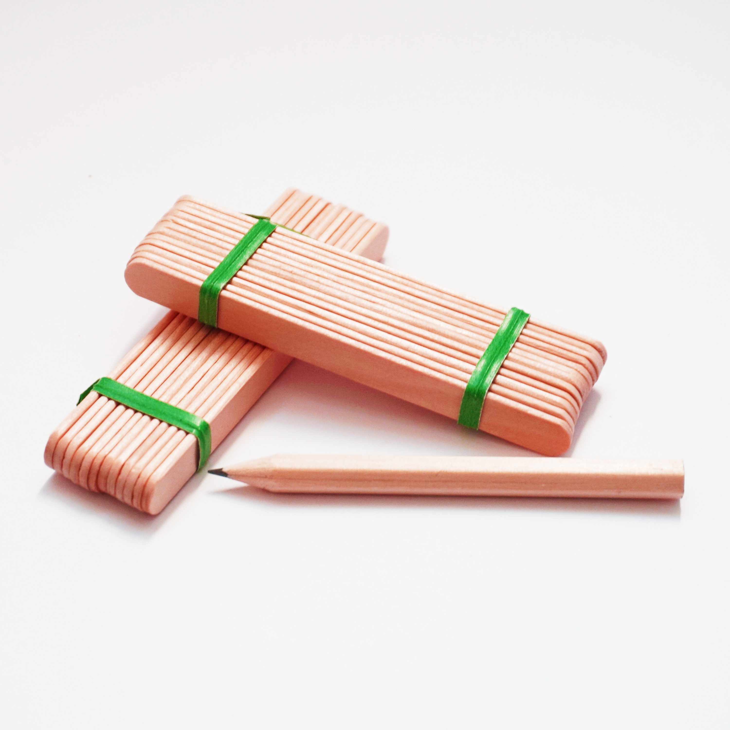 Seedling Plant Labels - Includes Pencil, Eco Friendly, Biodegradable & Compostable