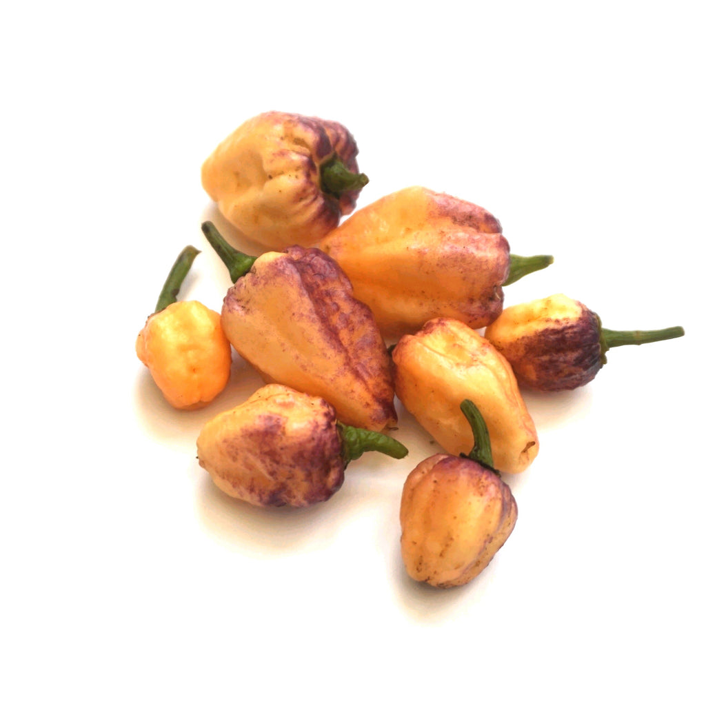 Rare Chilli Seed Set (20) – Pockmark Peach, Chocolate Ghost, Machu Picchu, Vampire