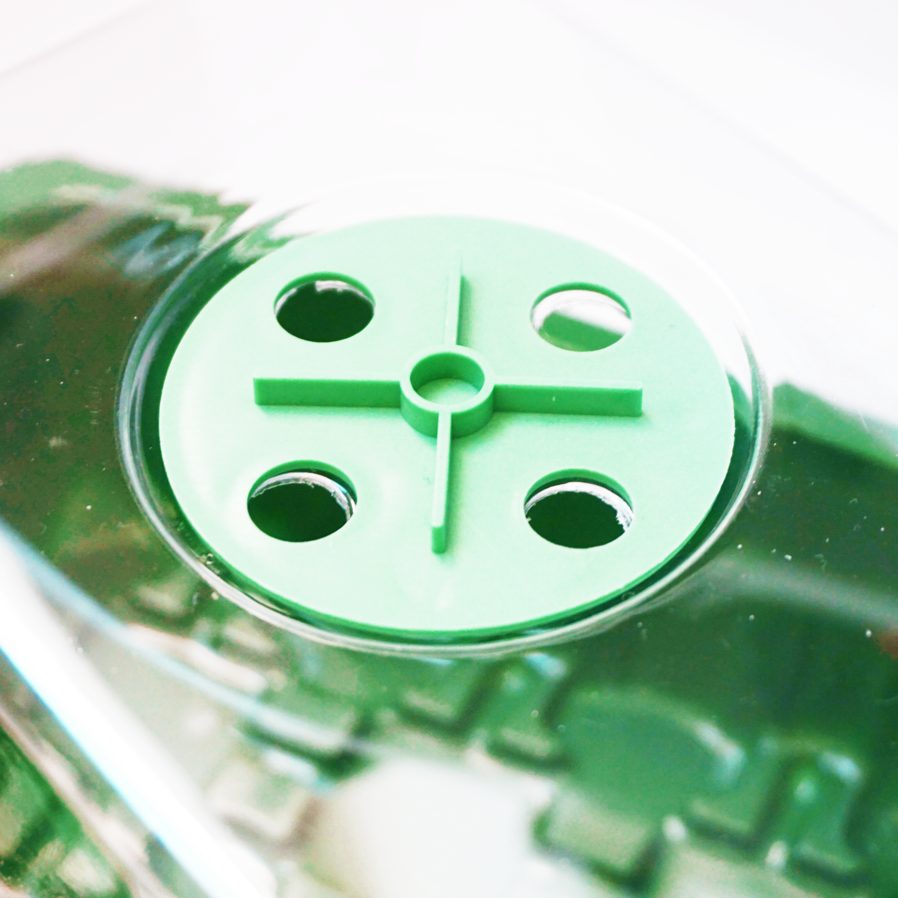 Premium Vented Propagator - Includes 12-Cell Seed Tray