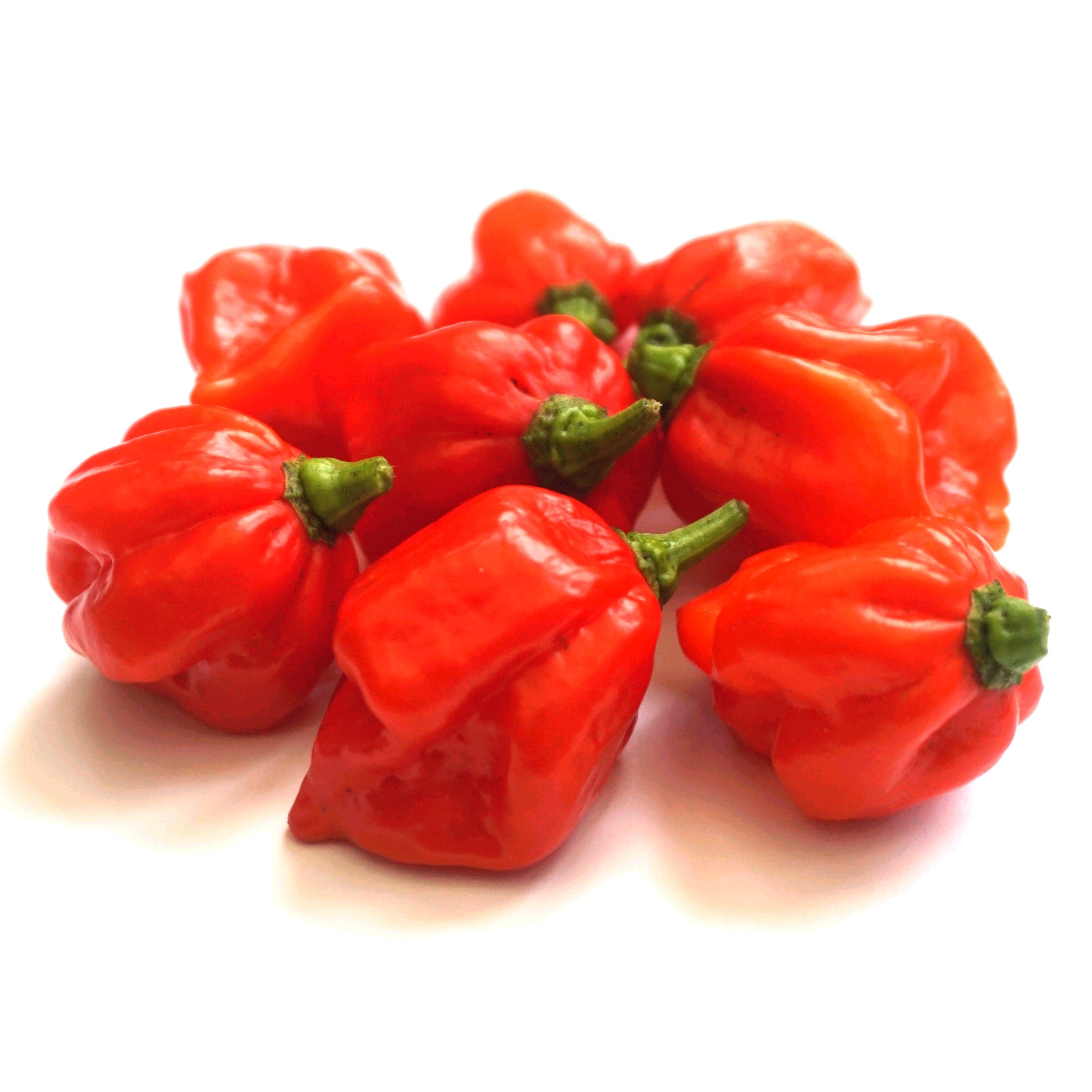 Superhot Chilli Seed Set (20) – Red Ghost / Bhut Jolokia, Trinidad Moruga Scorpion, Habanero Orange, Scotch Bonnet