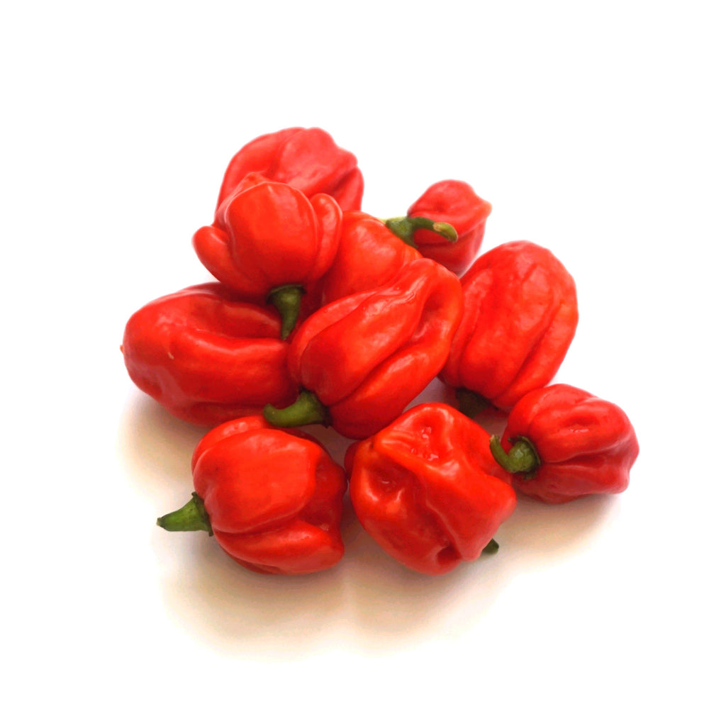 Superhot Chilli Seed Set (20) – Red Ghost / Bhut Jolokia, Trinidad Moruga Scorpion, Habanero Orange, Scotch Bonnet