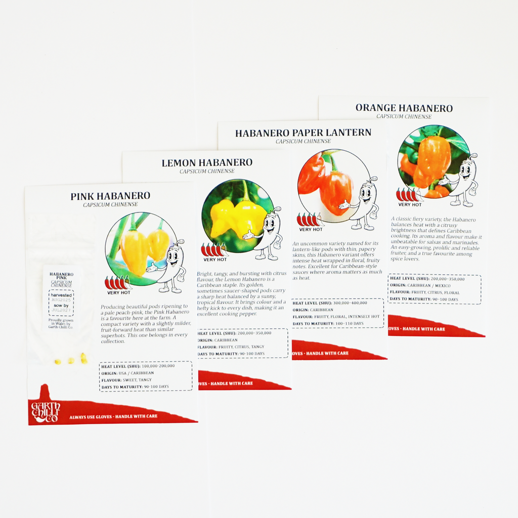 "Haba Haba" Premium Growing Kit / Gift Set - Habanero Orange, Pink, Lemon, Paper Lantern