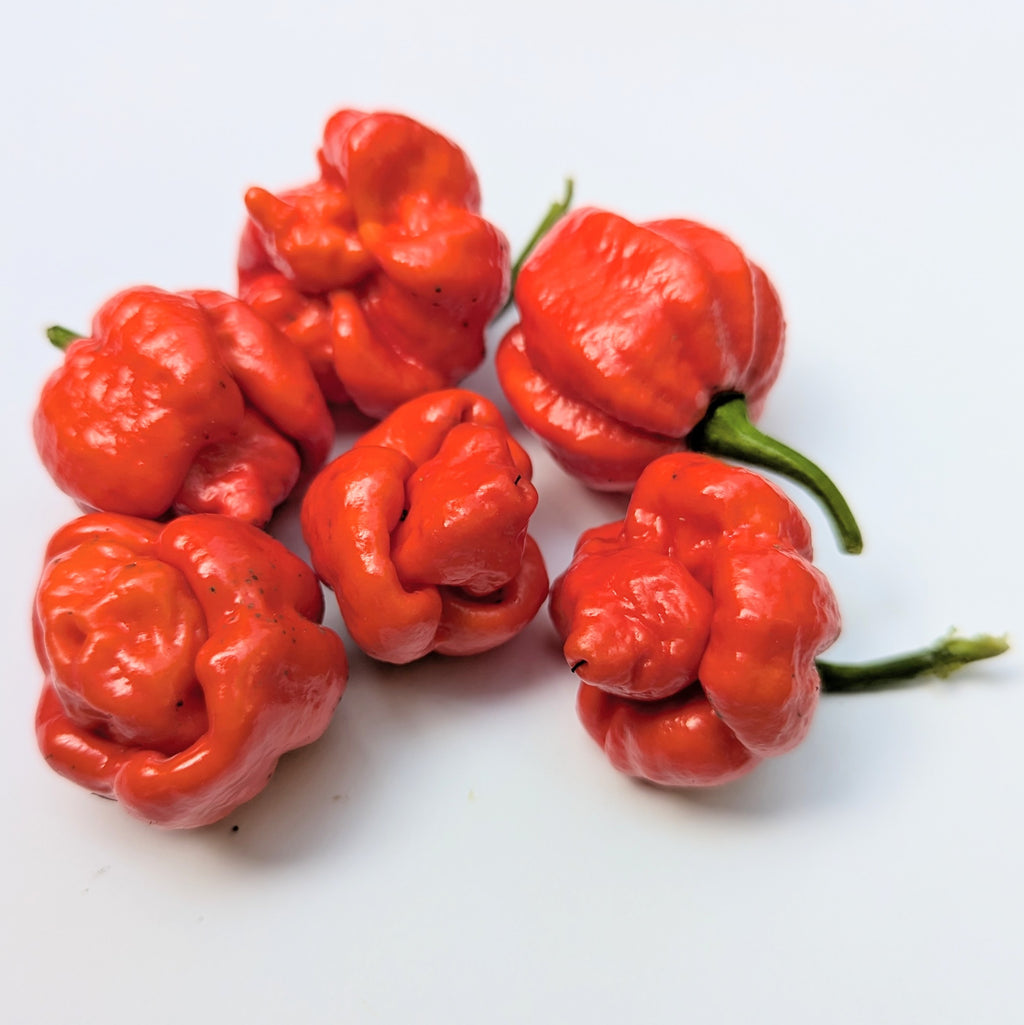 Superhot Chilli Seed Set (20) – Red Ghost / Bhut Jolokia, Trinidad Moruga Scorpion, Habanero Orange, Scotch Bonnet
